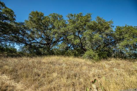 21123 Lamm Road Elmendorf TX 78112