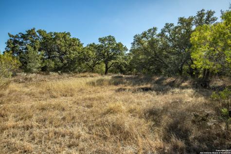 21123 Lamm Road Elmendorf TX 78112
