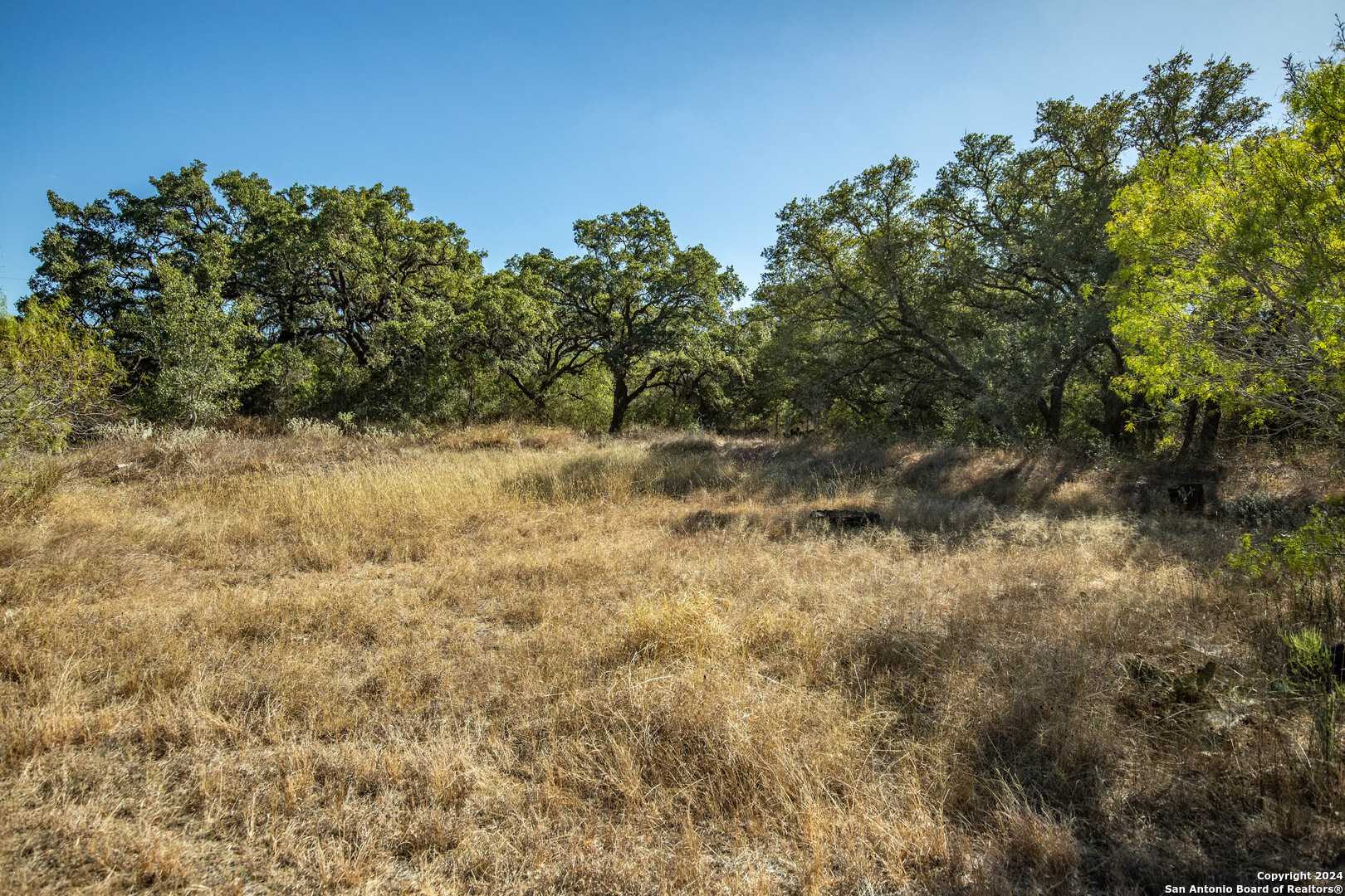 21123 Lamm Road Elmendorf TX 78112