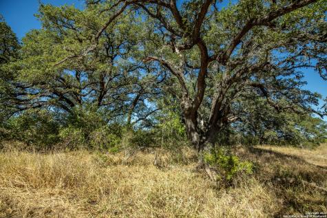 21123 Lamm Road Elmendorf TX 78112