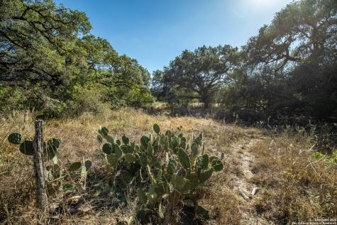 21123 Lamm Road Elmendorf TX 78112
