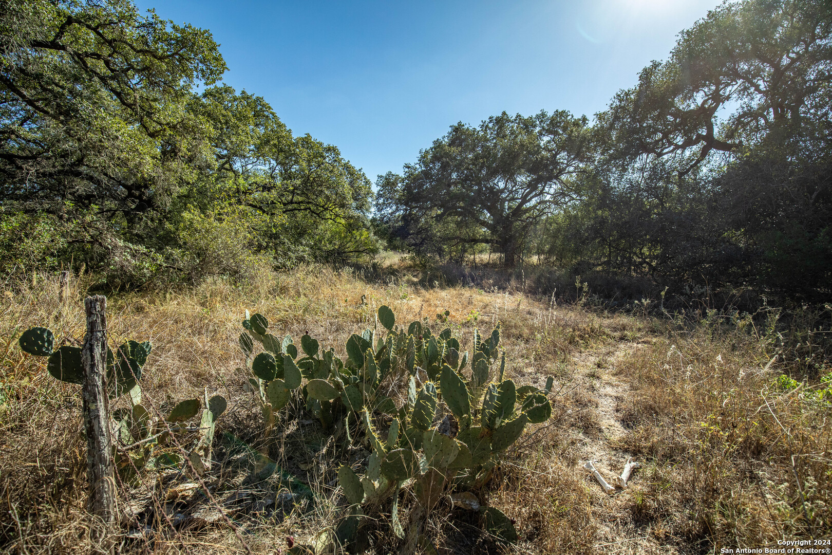 21123 Lamm Road Elmendorf TX 78112