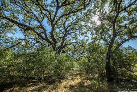 21123 Lamm Road Elmendorf TX 78112