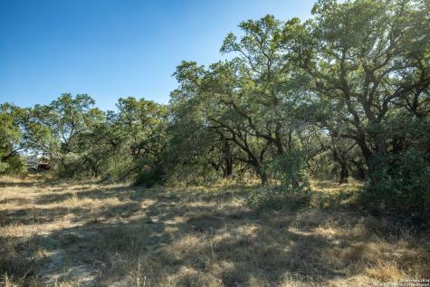 21123 Lamm Road Elmendorf TX 78112