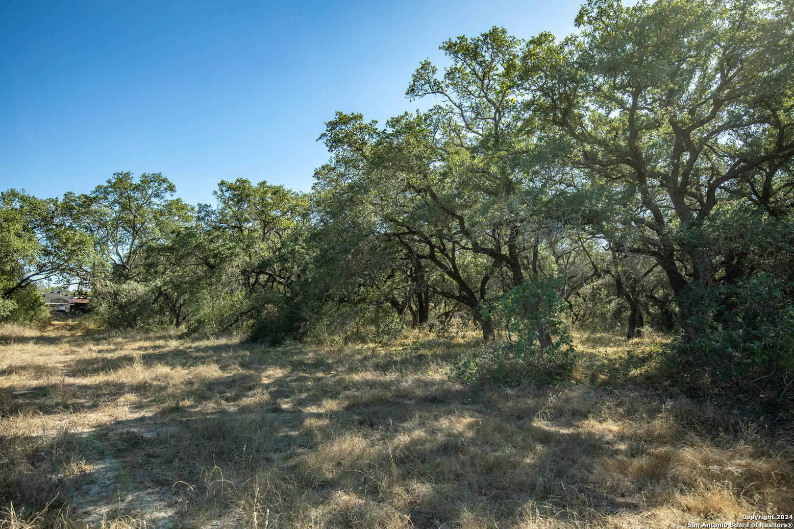 21123 Lamm Road Elmendorf TX 78112