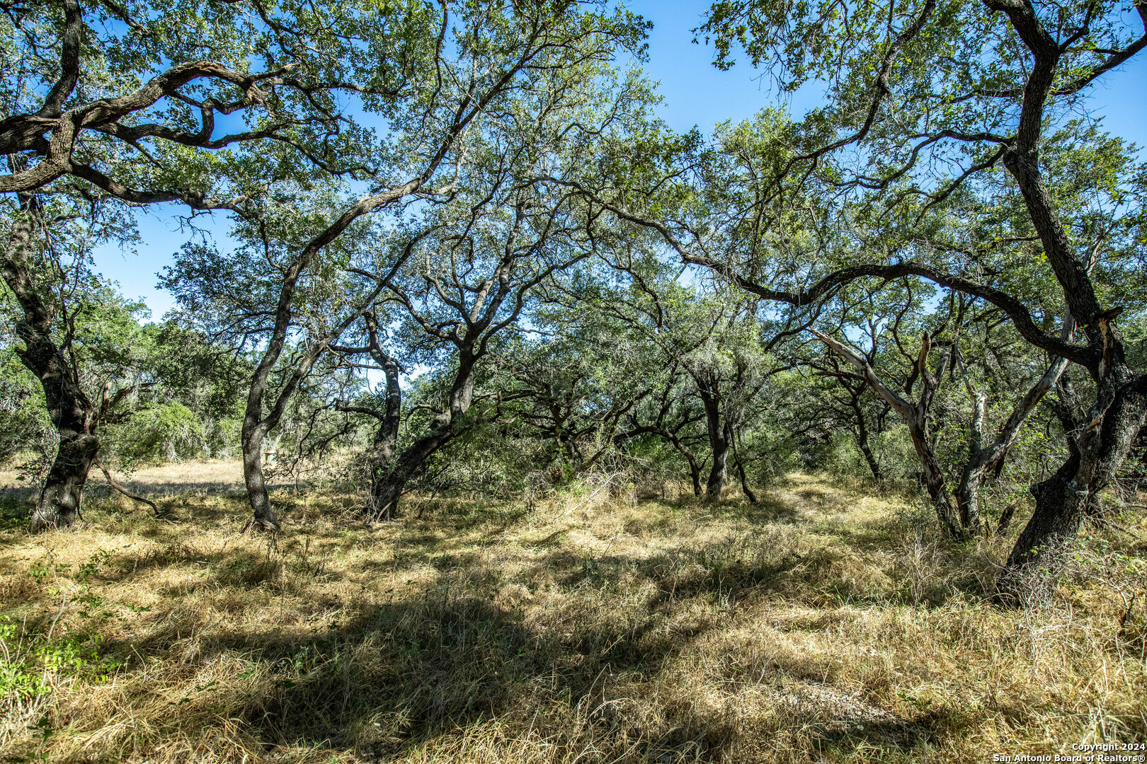 21123 Lamm Road Elmendorf TX 78112