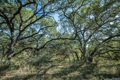 21123 Lamm Road Elmendorf TX 78112