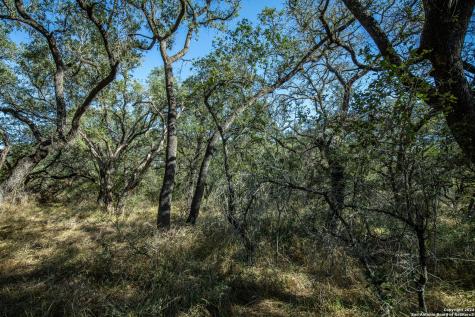 21123 Lamm Road Elmendorf TX 78112