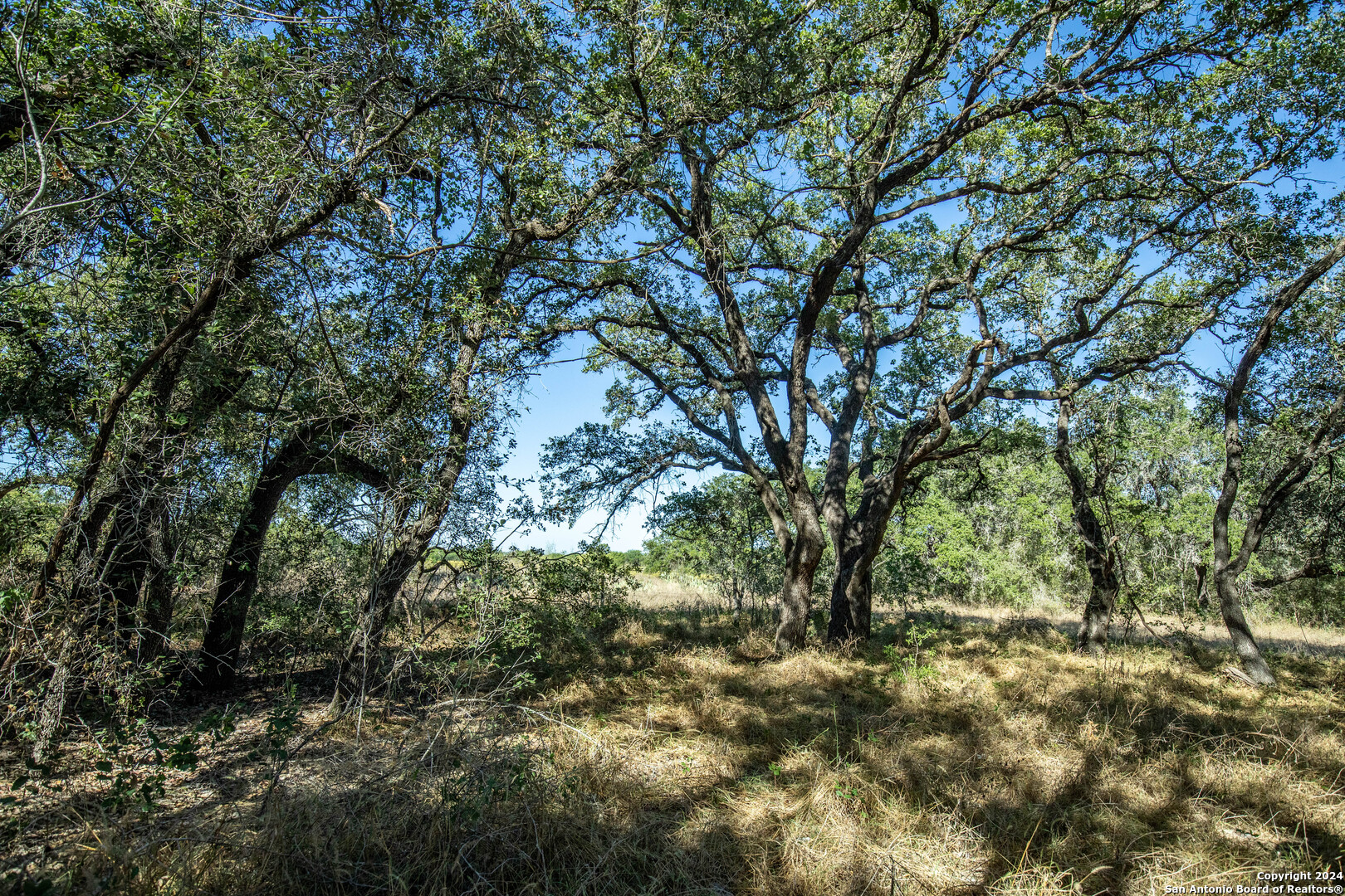 21123 Lamm Road Elmendorf TX 78112