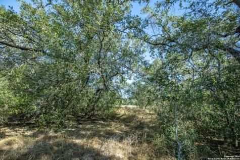 21123 Lamm Road Elmendorf TX 78112