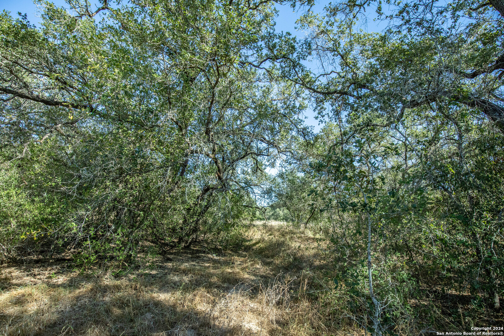 21123 Lamm Road Elmendorf TX 78112