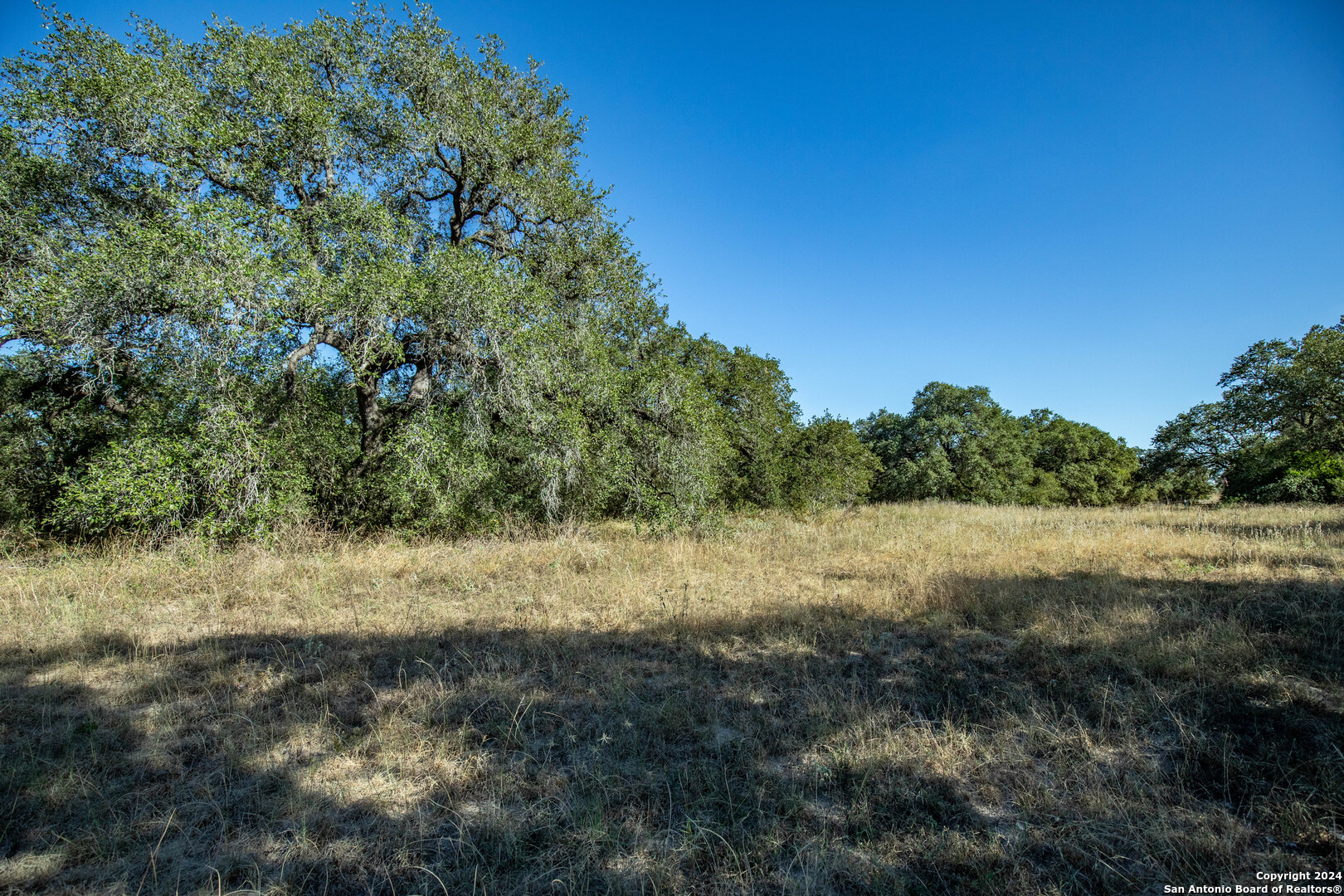 21123 Lamm Road Elmendorf TX 78112