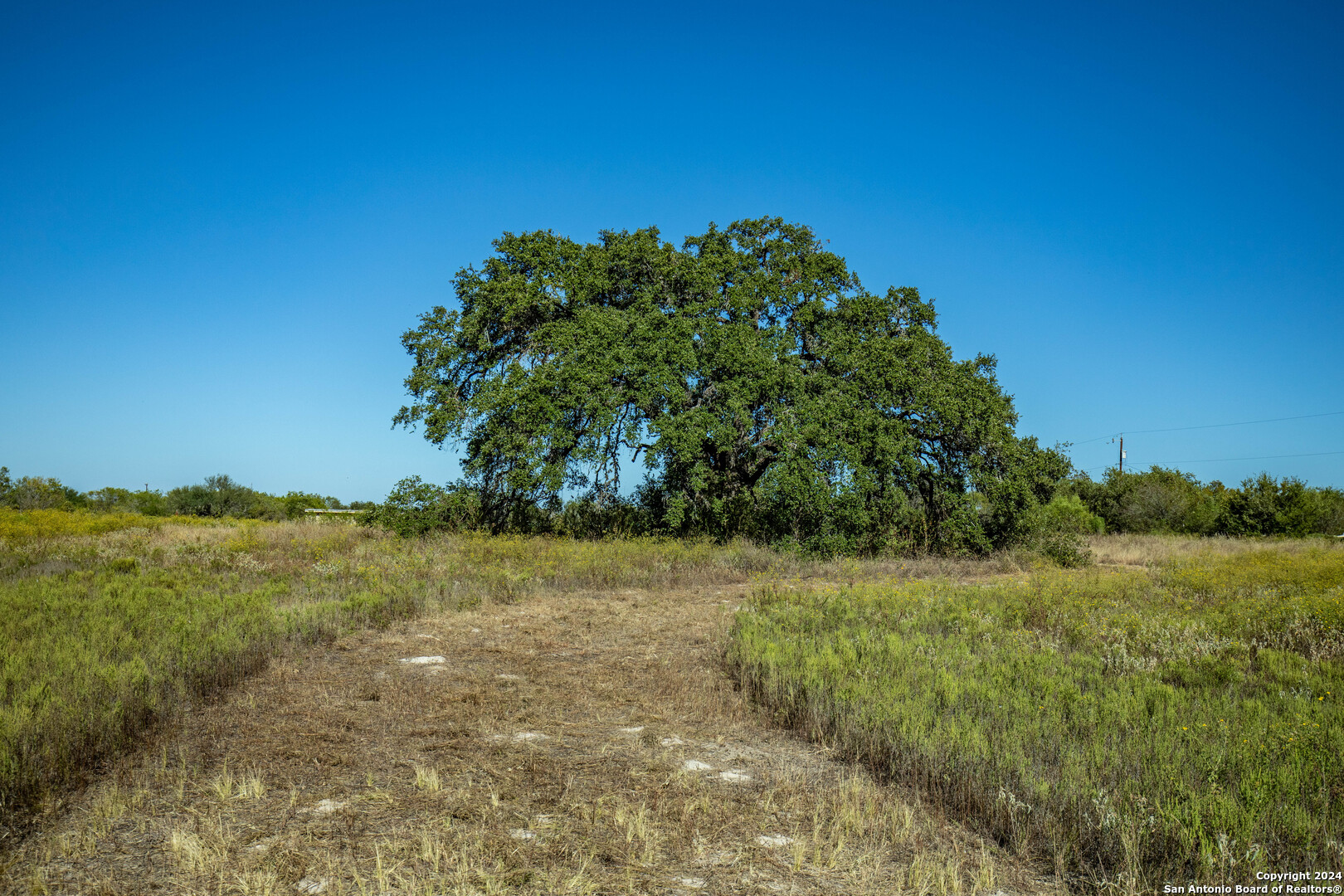 21123 Lamm Road Elmendorf TX 78112