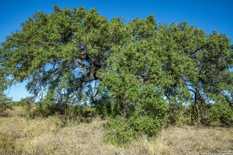 21123 Lamm Road Elmendorf TX 78112