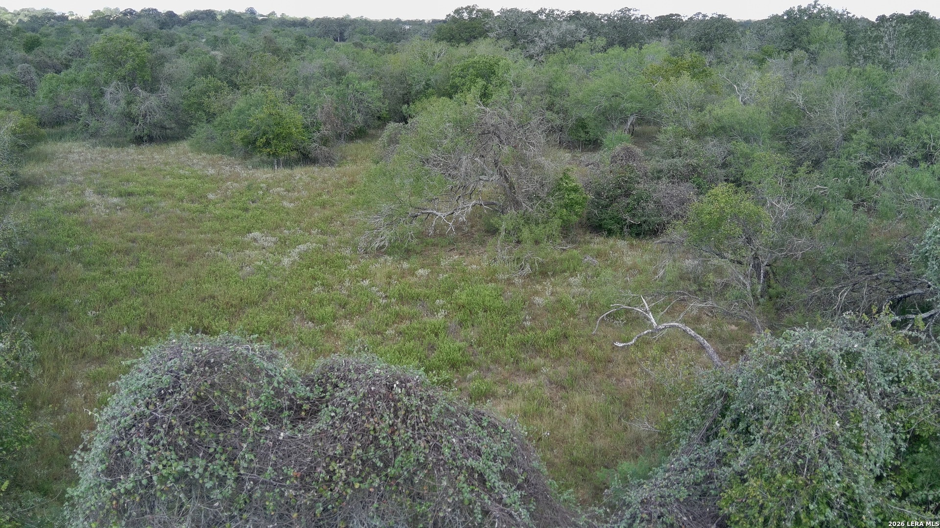 Tbd Dowdy Seguin TX 78155