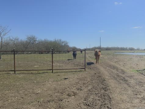 2647 Fm 3282 Gonzales TX 78629