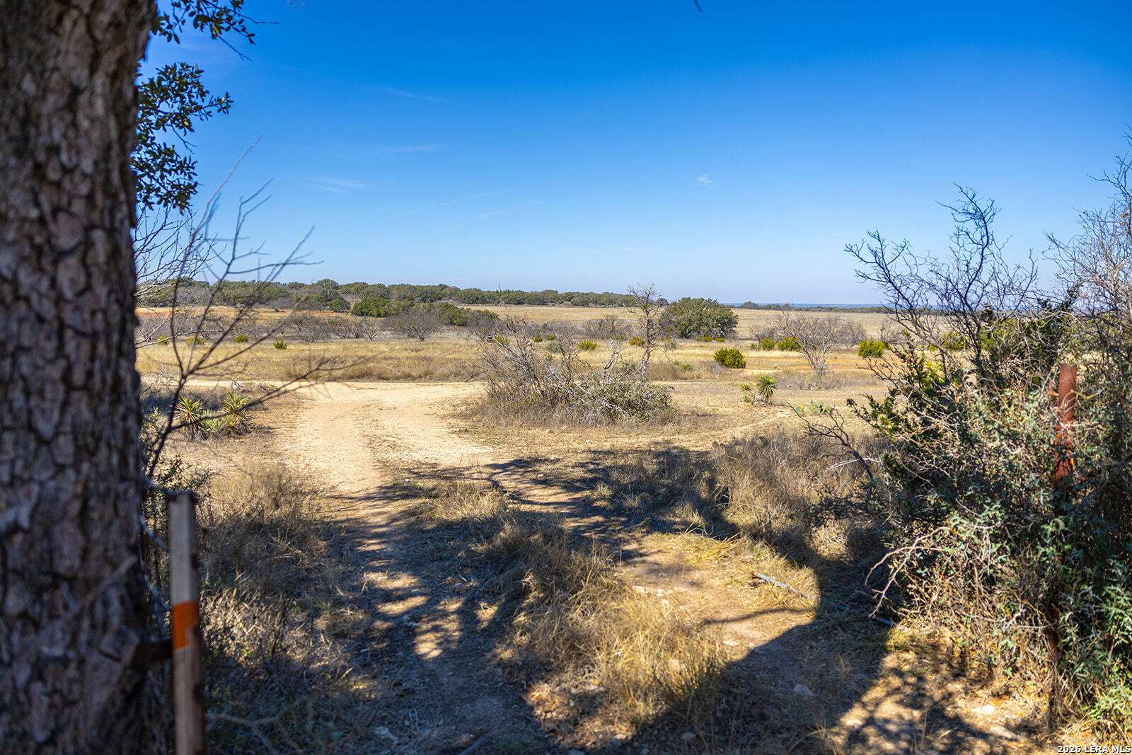 6623 Starks Mason TX 76856