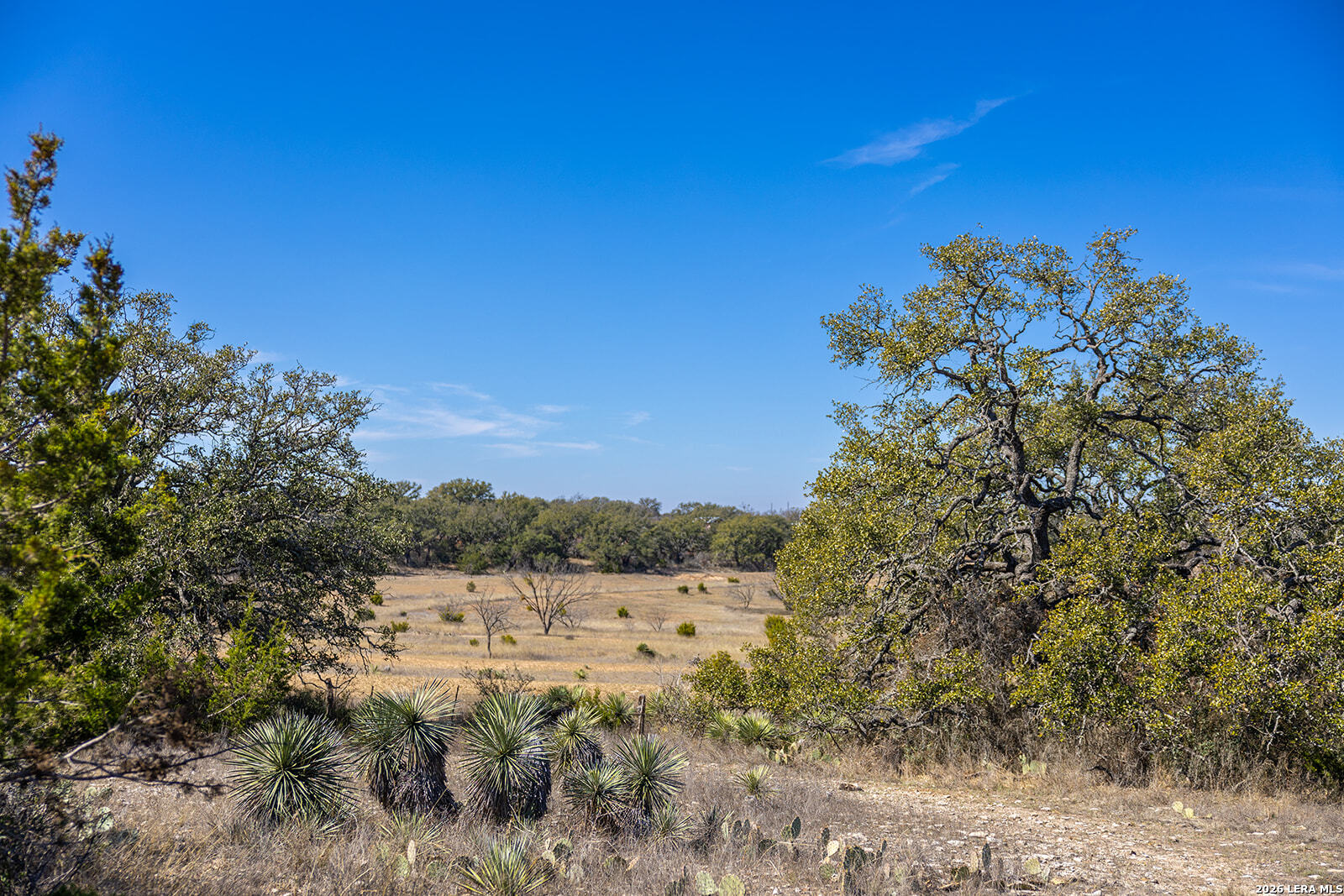 6623 Starks Mason TX 76856
