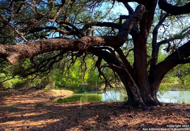 13220 E Loop 1604 S San Antonio TX 78263