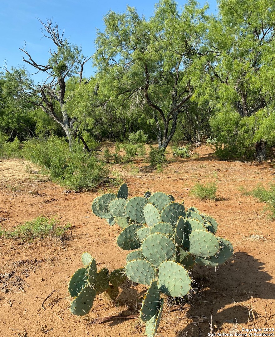 13220 E Loop 1604 S San Antonio TX 78263