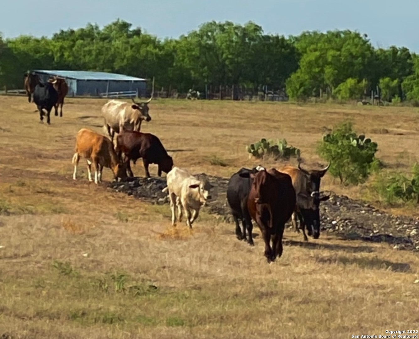 13220 E Loop 1604 S San Antonio TX 78263