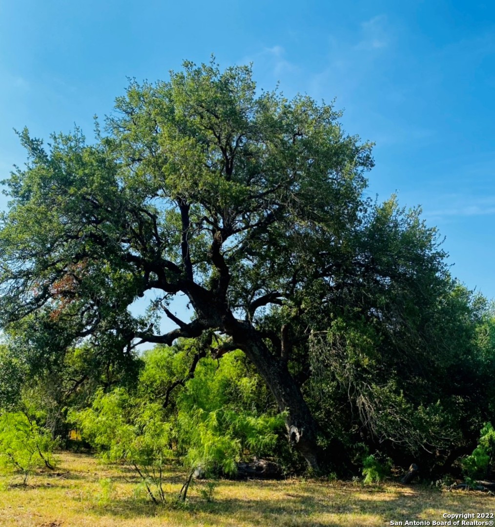 13220 E Loop 1604 S San Antonio TX 78263