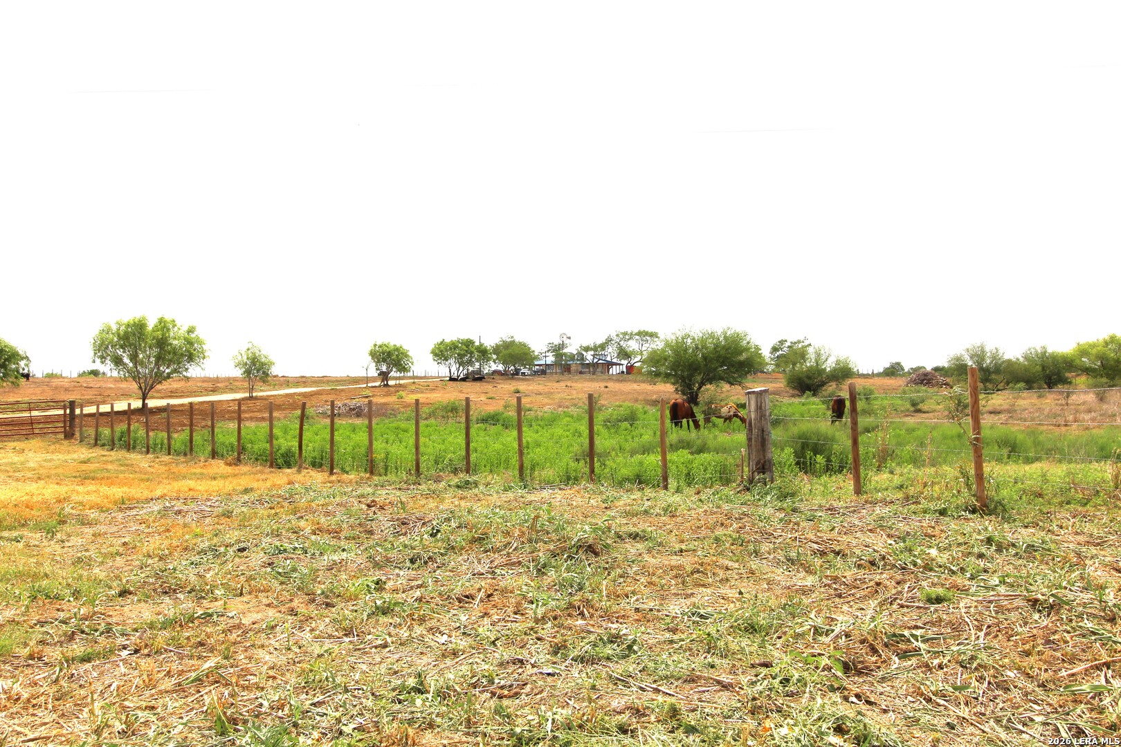 101 County Road 135 Floresville TX 78114