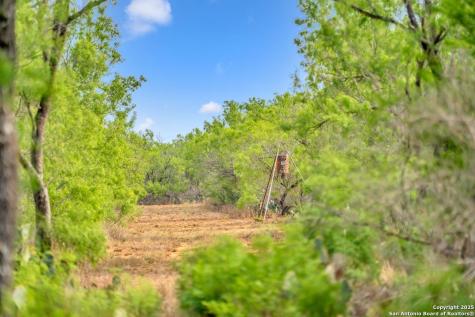 2654 Matthews Ranch Road Dilley TX 78017