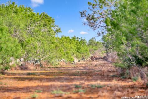 2654 Matthews Ranch Road Dilley TX 78017