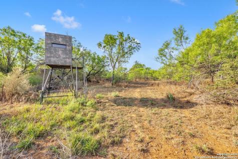 2654 Matthews Ranch Road Dilley TX 78017