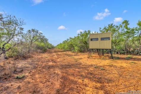2654 Matthews Ranch Road Dilley TX 78017