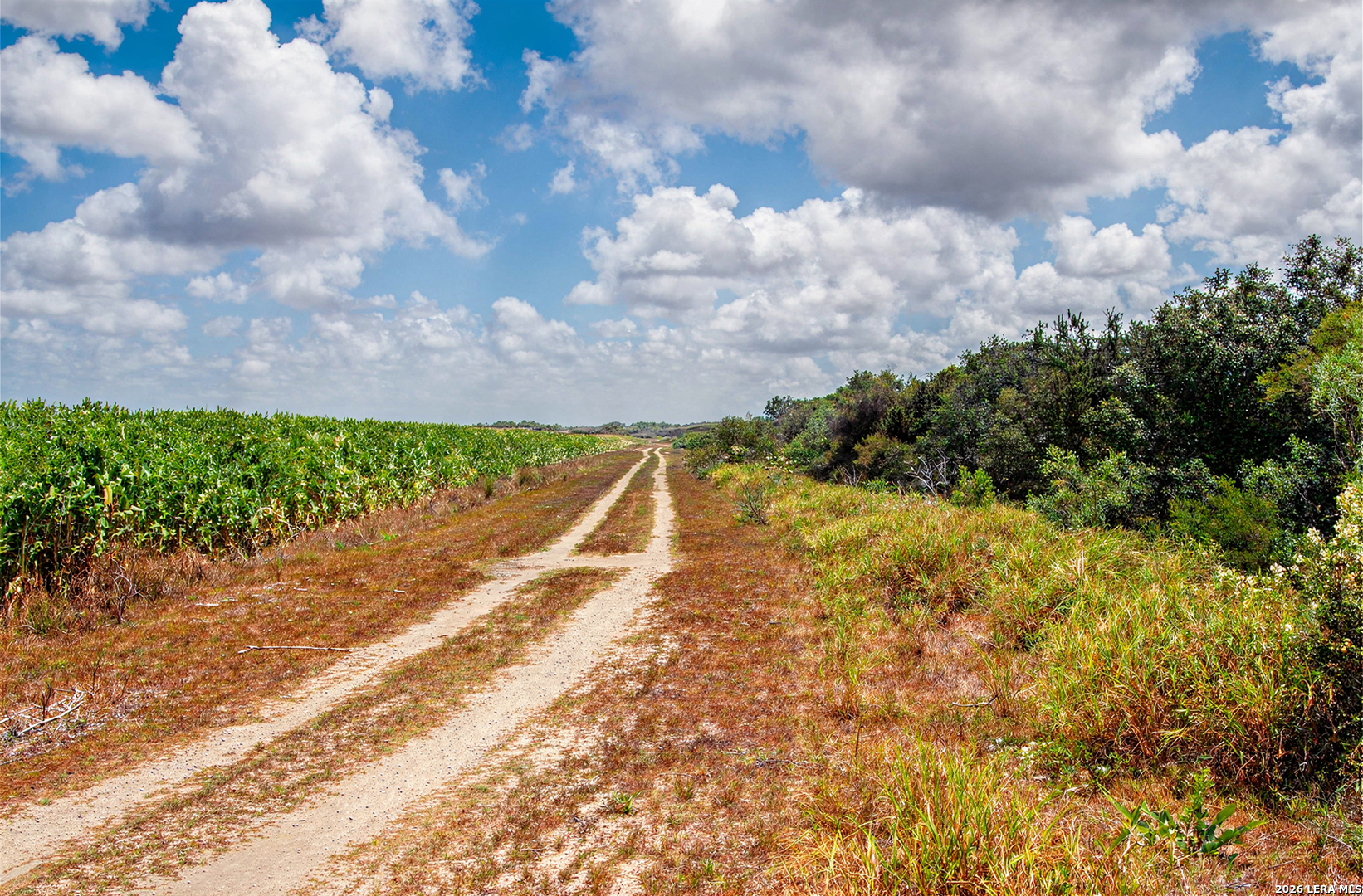 MILE3 Nittler Road Monte Alto TX 78538