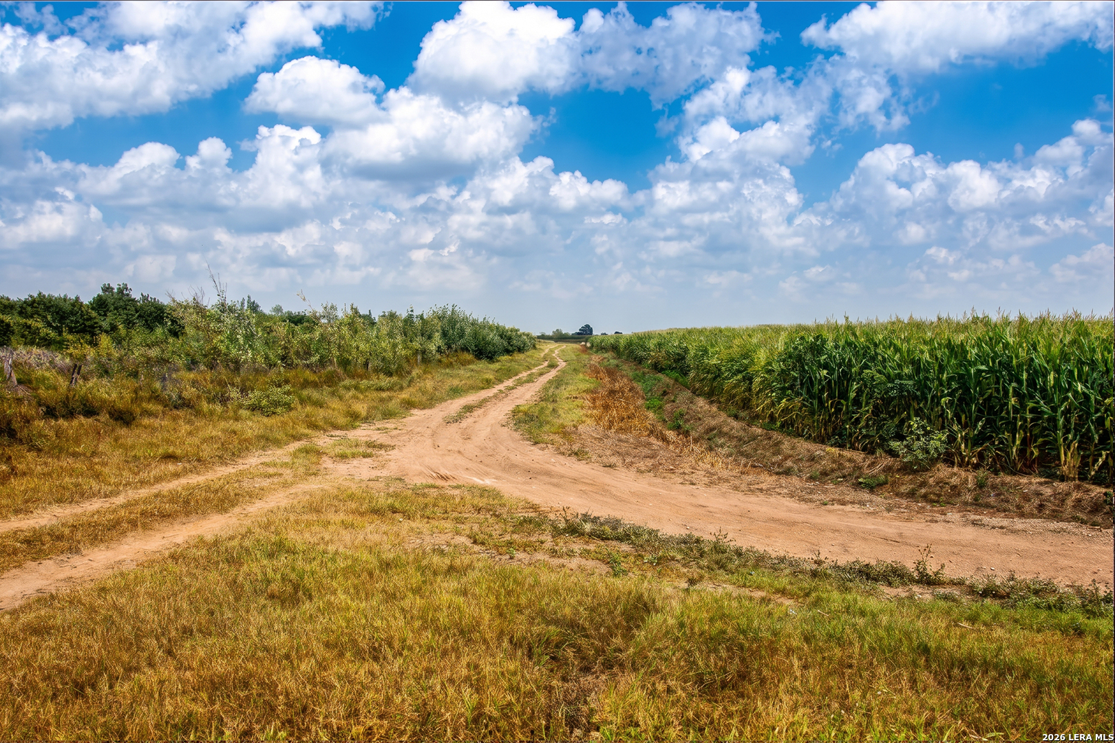MILE3 Nittler Road Monte Alto TX 78538