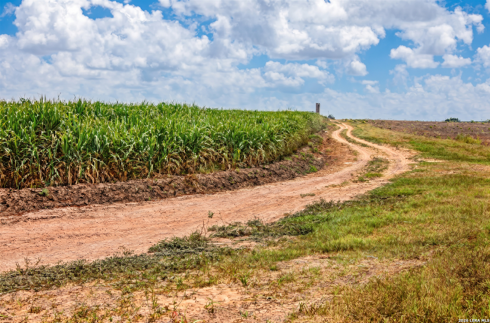 MILE3 Nittler Road Monte Alto TX 78538