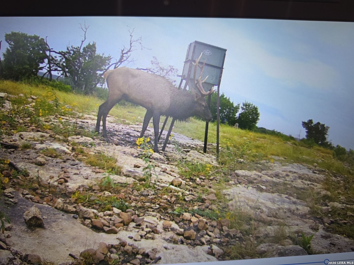 Tbd Sd 52800 Rocksprings TX 78880