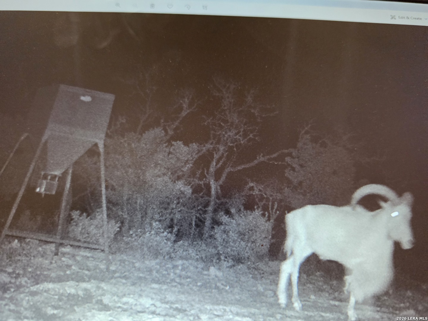 Tbd Sd 52800 Rocksprings TX 78880