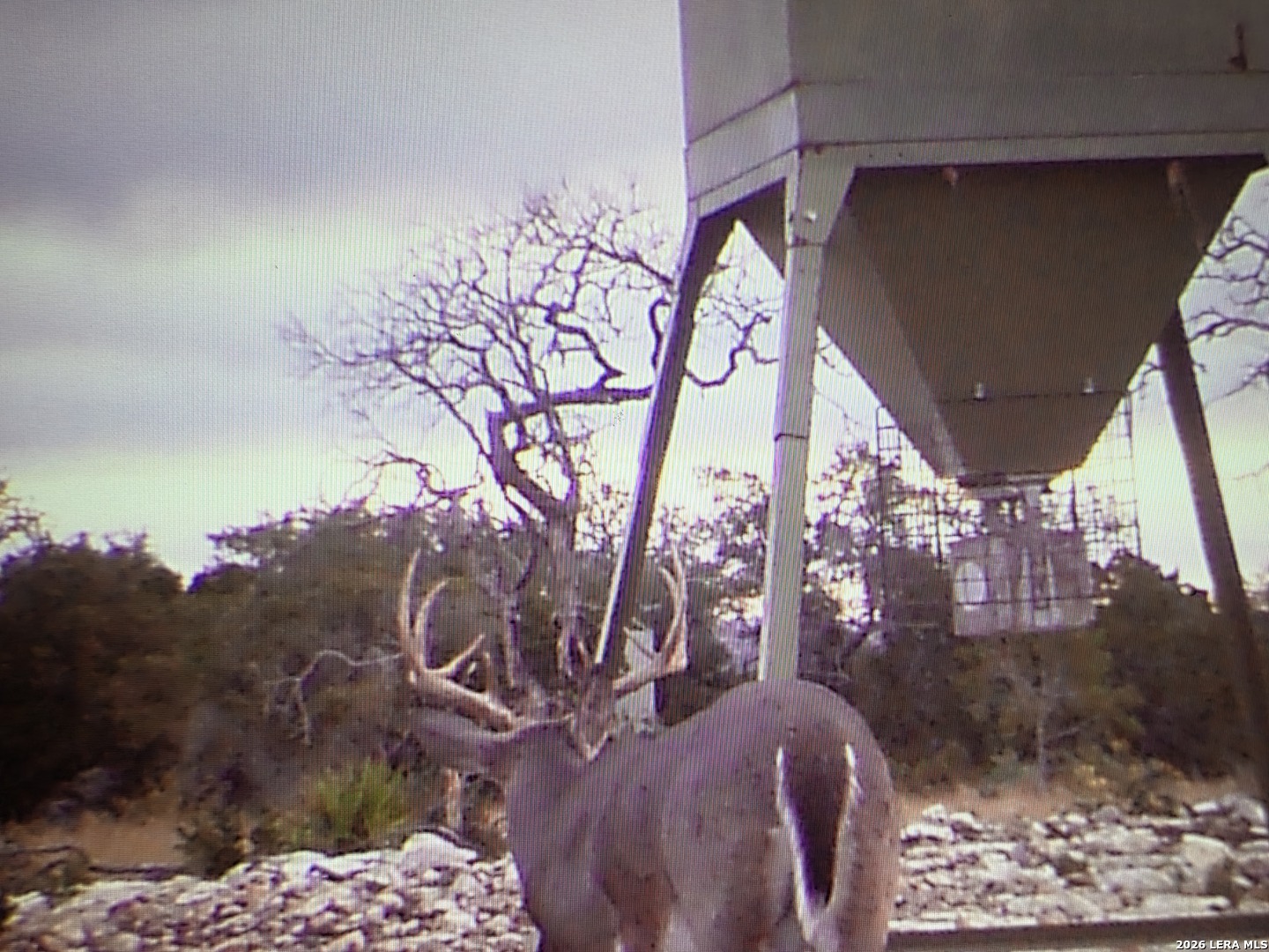 Tbd Sd 52800 Rocksprings TX 78880