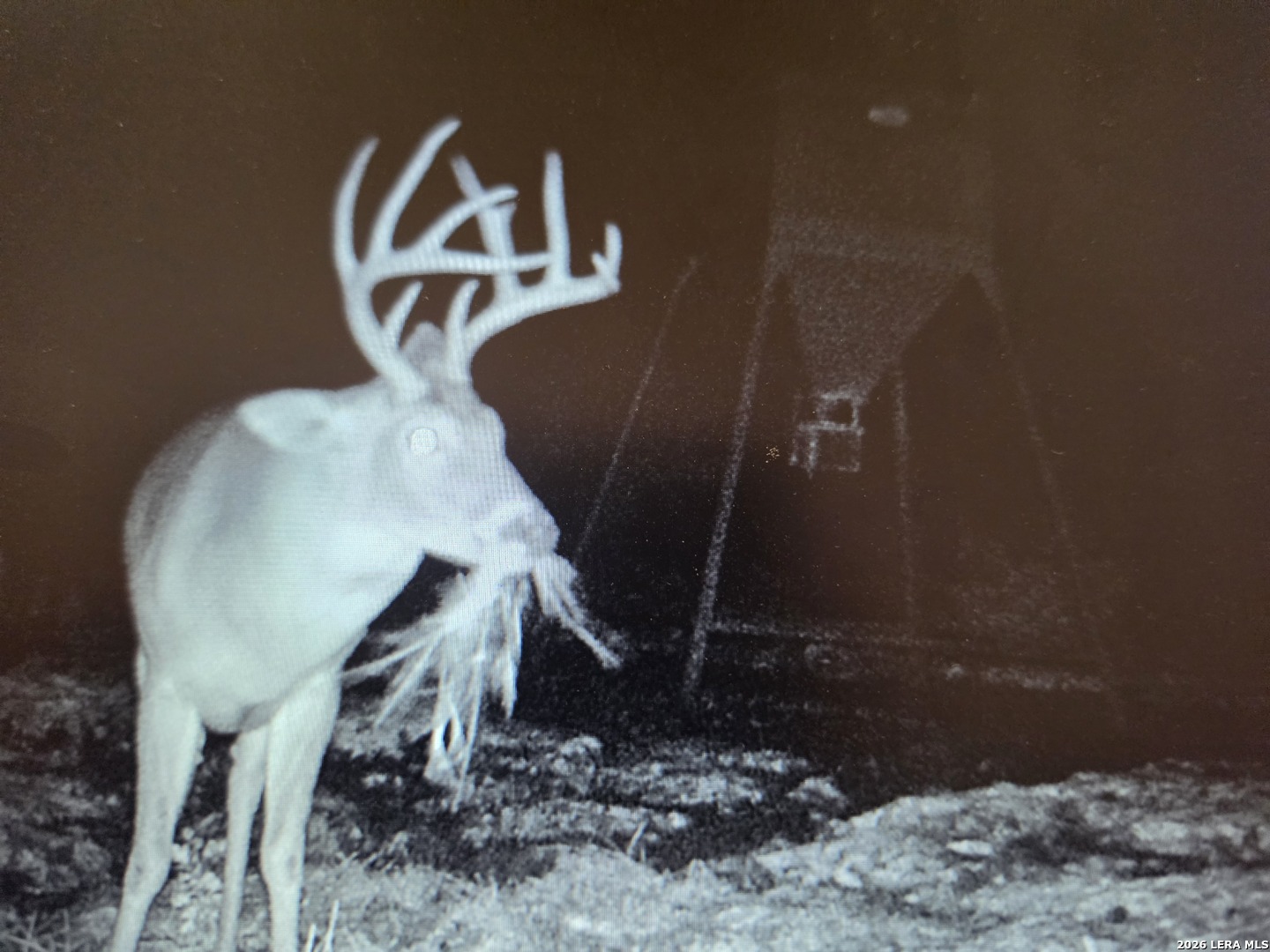 Tbd Sd 52800 Rocksprings TX 78880