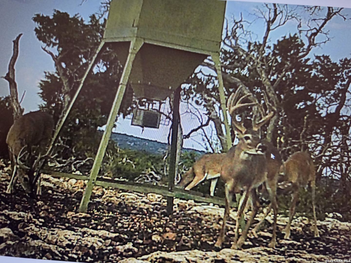 Tbd Sd 52800 Rocksprings TX 78880