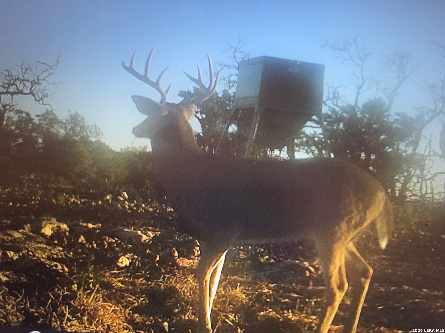 Tbd Sd 52800 Rocksprings TX 78880