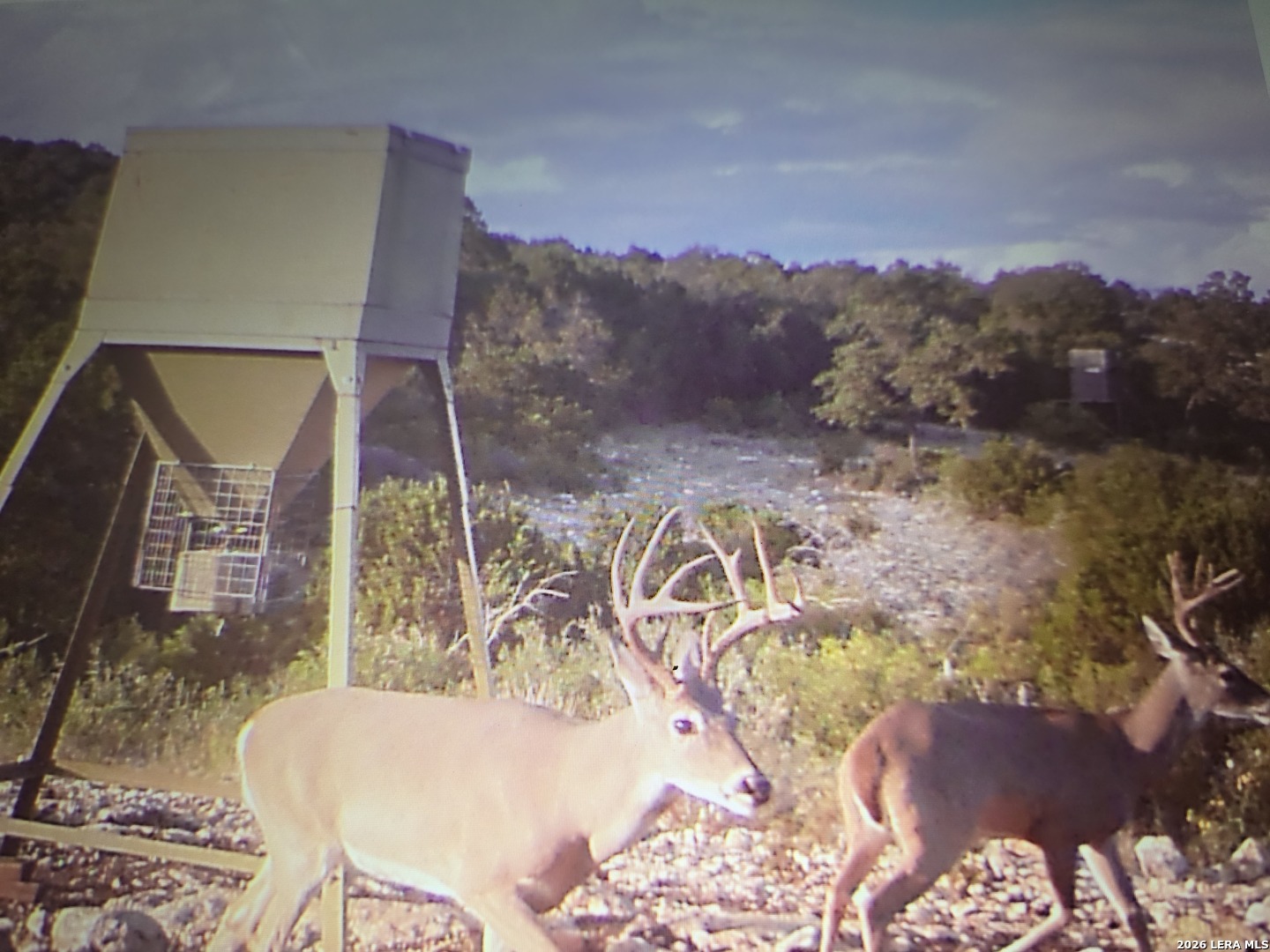 Tbd Sd 52800 Rocksprings TX 78880
