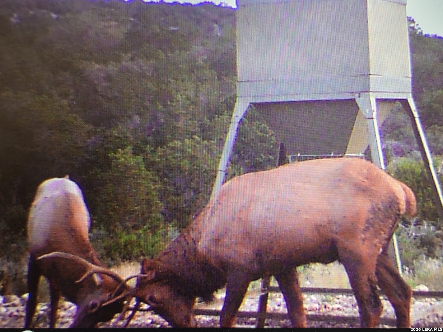 Tbd Sd 52800 Rocksprings TX 78880