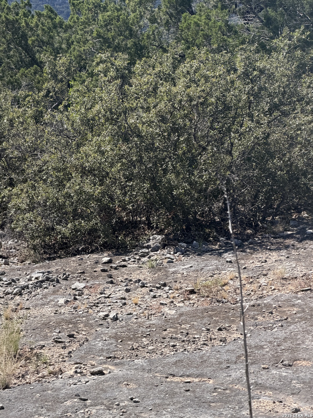 Tbd Sd 52800 Rocksprings TX 78880