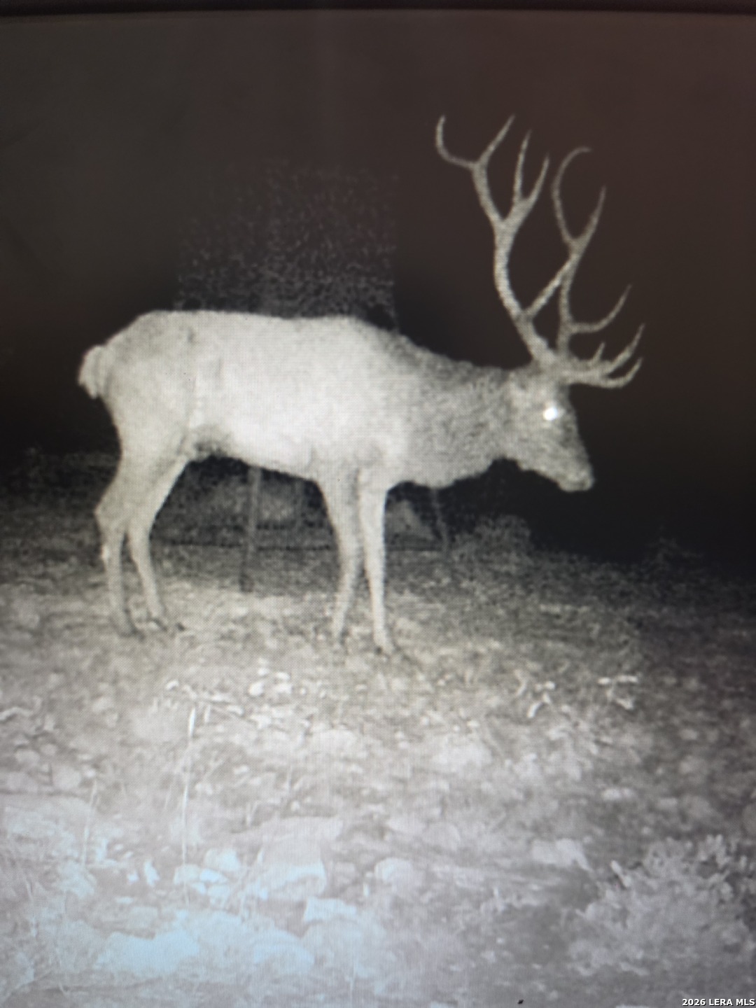 Tbd Sd 52800 Rocksprings TX 78880