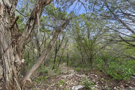 676 County Road 243 Hondo TX 78861