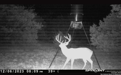 676 County Road 243 Hondo TX 78861