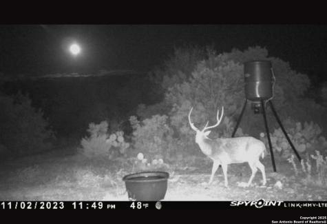 676 County Road 243 Hondo TX 78861