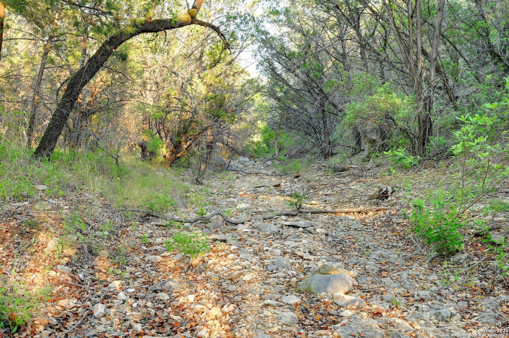 10700 Fm 306 New Braunfels TX 78132