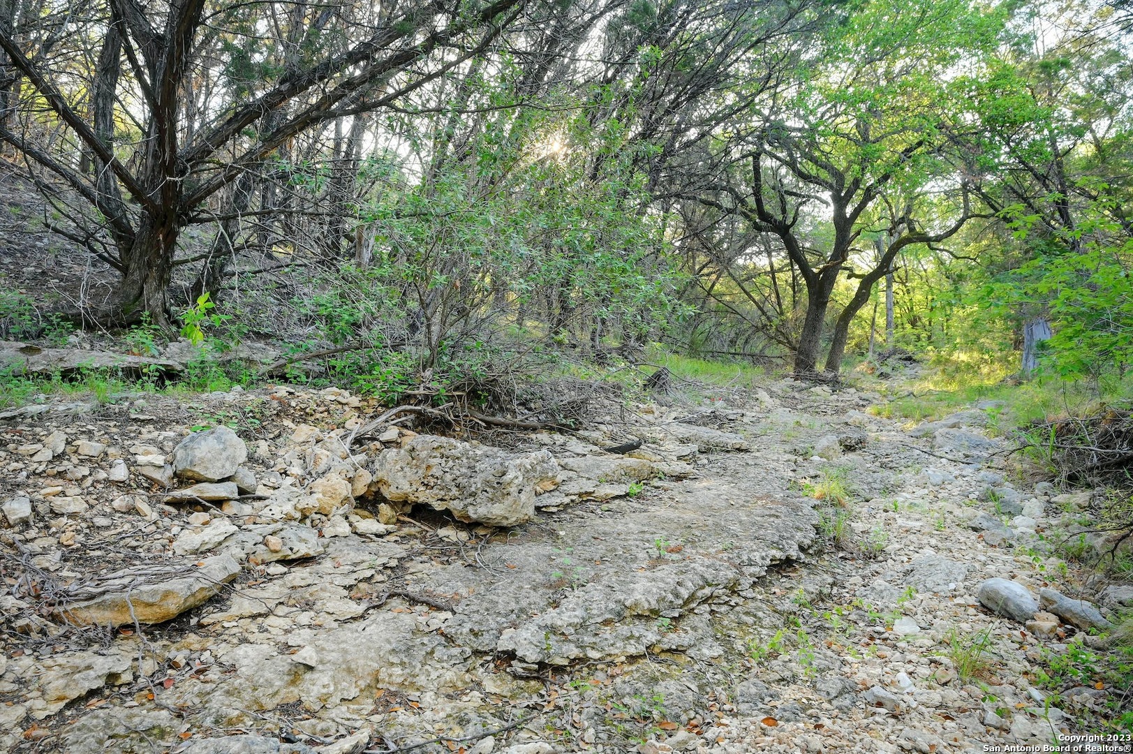 10700 Fm 306 New Braunfels TX 78132