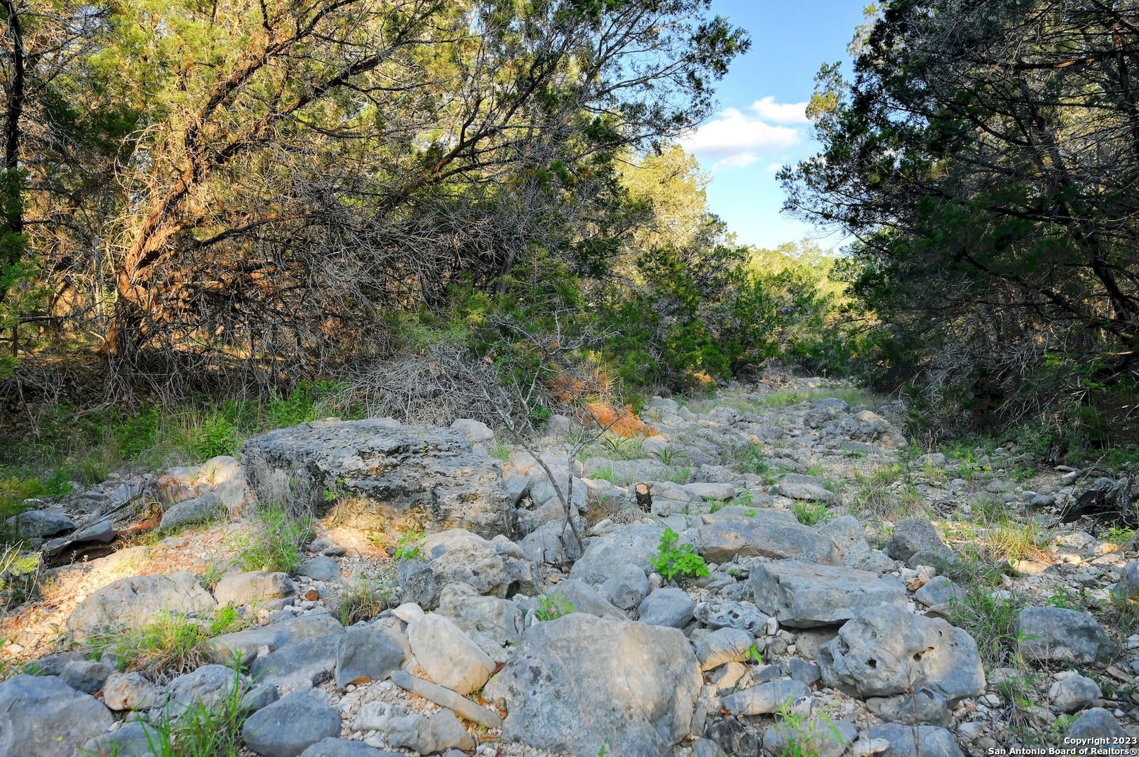 10700 Fm 306 New Braunfels TX 78132